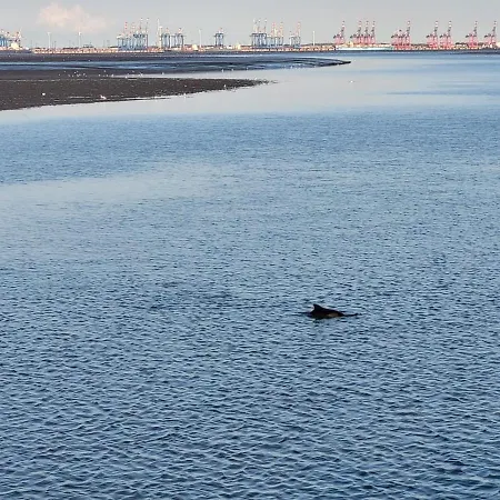 Apartment Wolkenlos Butjadingen