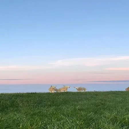 Apartment Wolkenlos *