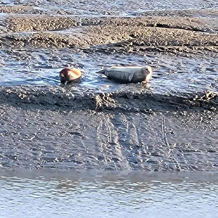 Wolkenlos * Butjadingen