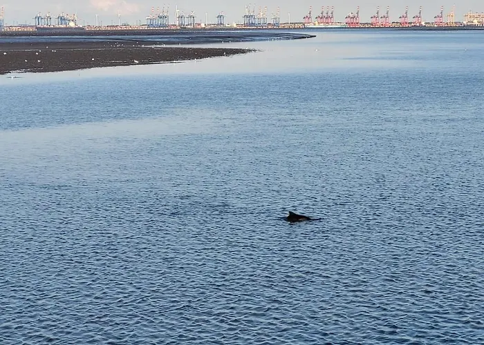 Daire Wolkenlos Butjadingen