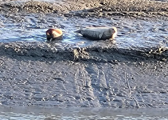 Wolkenlos * Butjadingen